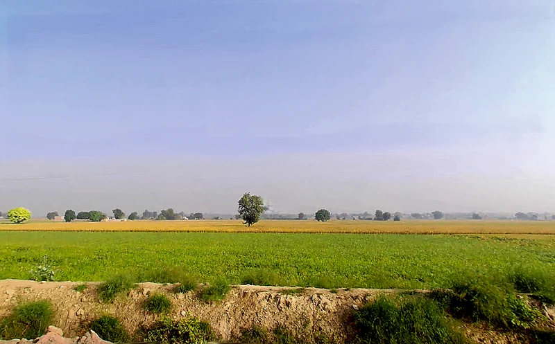 Shekhu Khera, Haryana, India preview 2