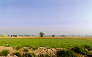 Shekhu Khera, Haryana, India preview 2