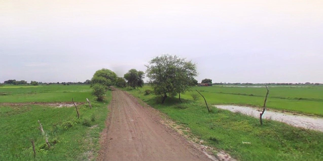 Bazpur, Uttarakhand 262401, India