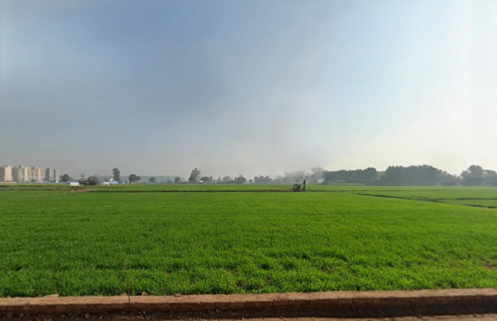 Gokul Dham, opposite ITI, Sector-1, Hansi, Dhana, Haryana 125033, India