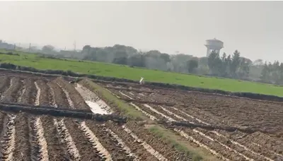 Gharaunda, Haryana 132114, India preview 2