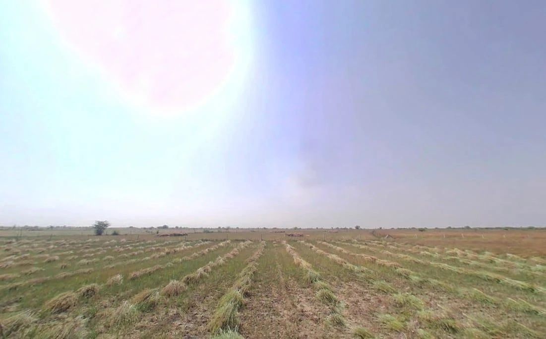 Tonk, Rajasthan 304001, India