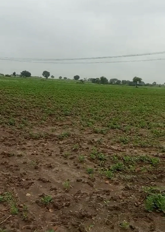 Patha, Mahoba, Uttar Pradesh, India