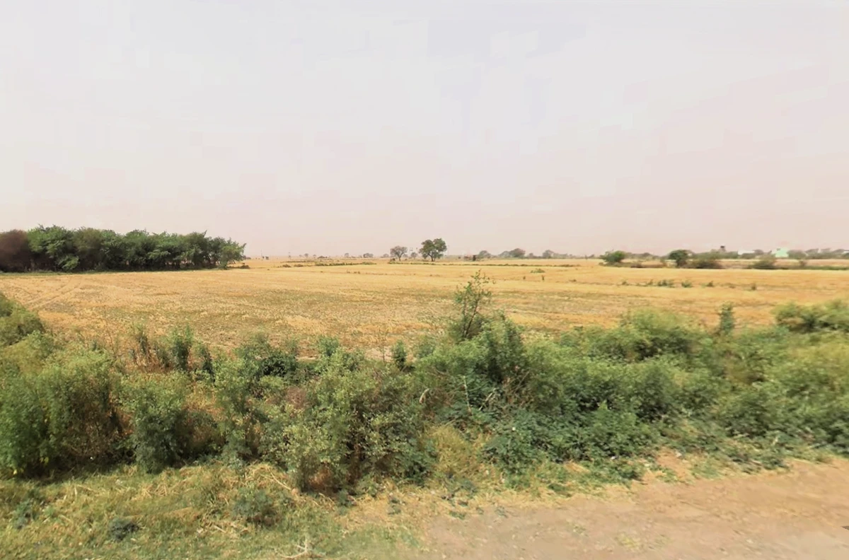 Luhari, Haryana 124108, India