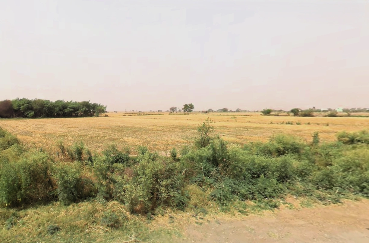 Luhari, Haryana 124108, India