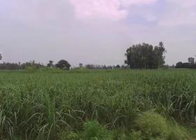 Tisang, Uttar Pradesh 251314, India preview 3