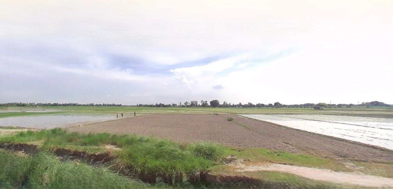 Patiyali, Uttar Pradesh 207243, India