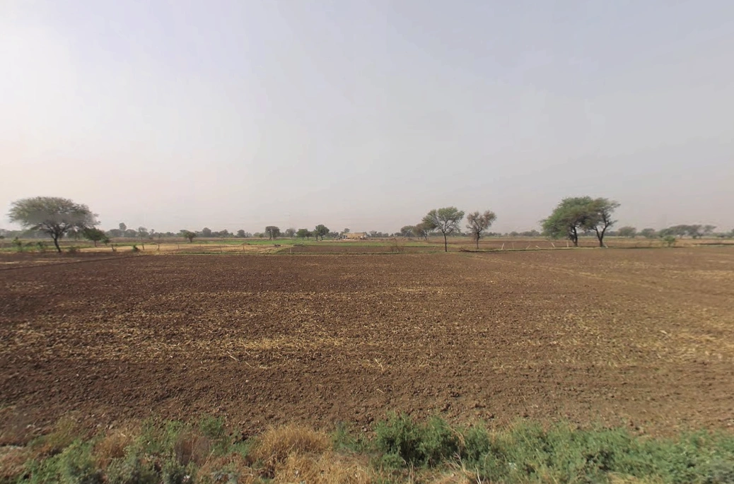 Karola, Haryana 122504, India