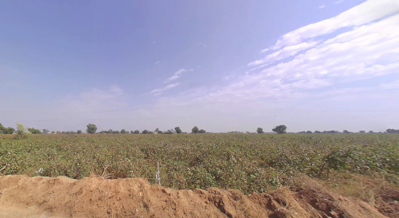 Kaluana, Haryana 125103, India