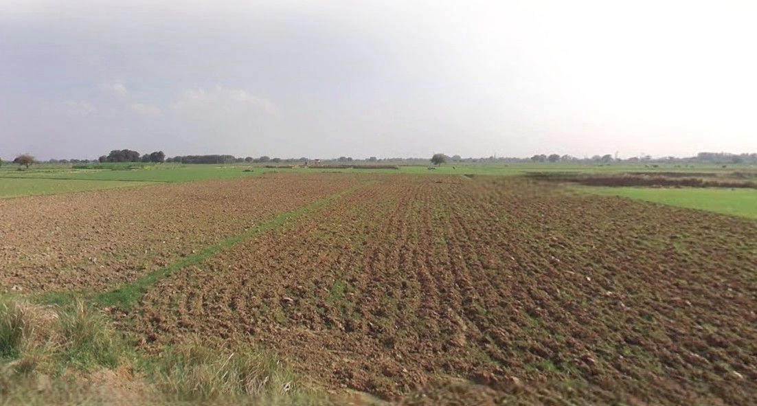 Muskura, Uttar Pradesh, India