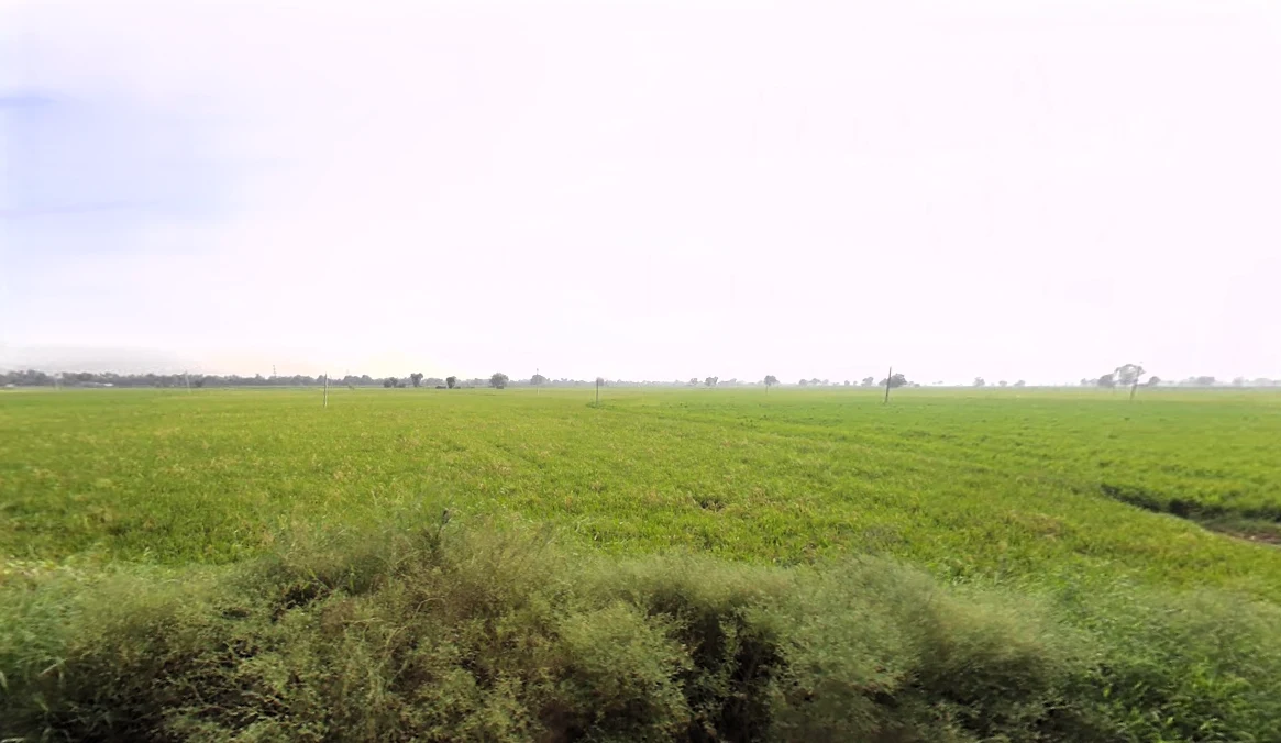 Mallekan, Haryana 125055, India preview 2