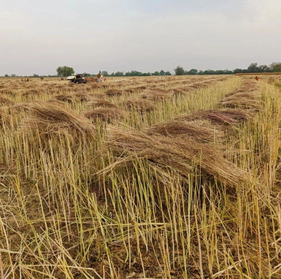 Gharwari, Rajasthan 321201, India