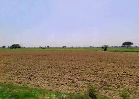Shikarpur, Uttar Pradesh 203395, India preview 3