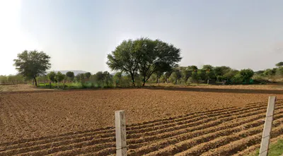 F49P+XX3, Ajanda, Rajasthan 323603, India preview 2