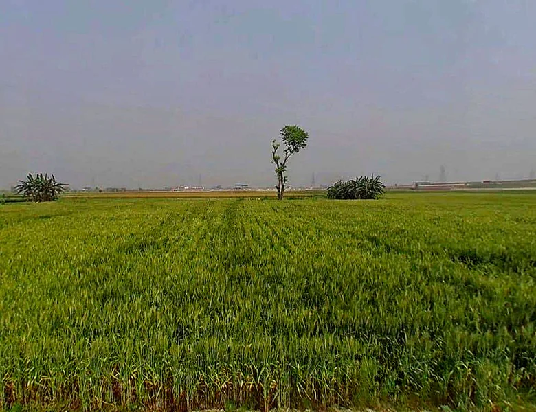 6QRQ+2Q, Bargaon, Rajasthan 324008, India preview 2