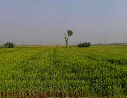 6QRQ+2Q, Bargaon, Rajasthan 324008, India preview 2