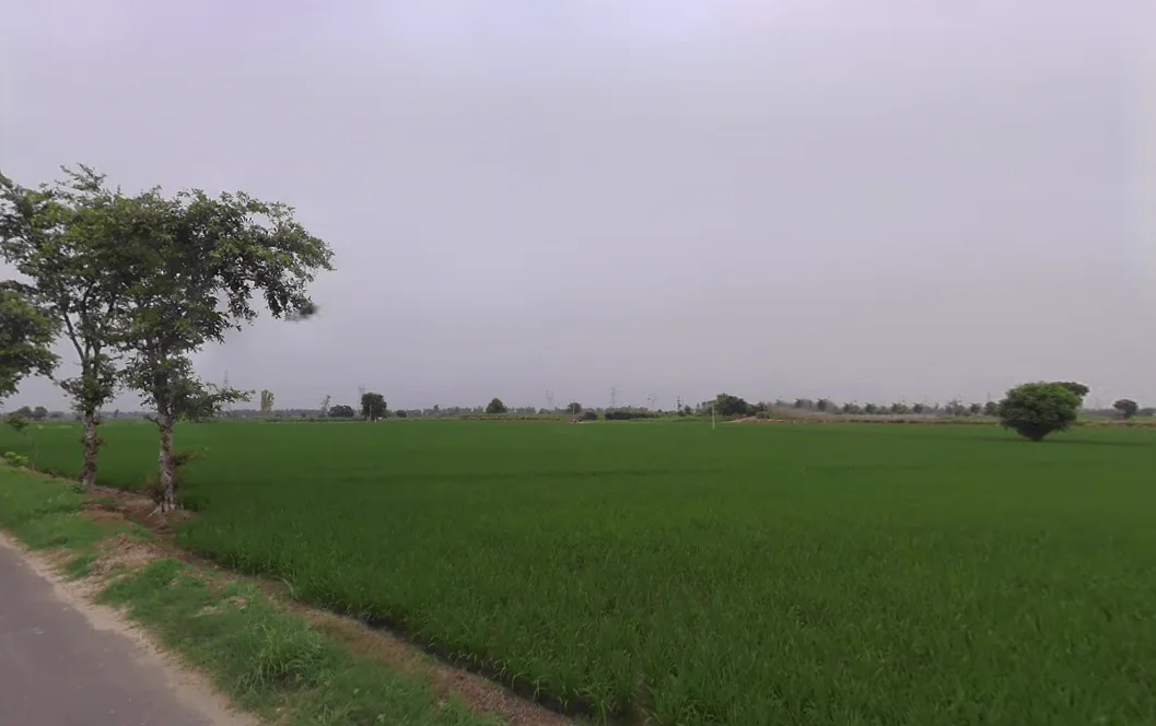 Chander Kalan, Haryana 125120, India preview 3