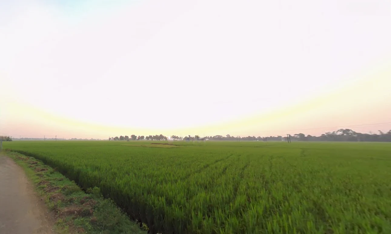 Action Area III, Chotto Chandpur, Newtown, New Town, West Bengal, India