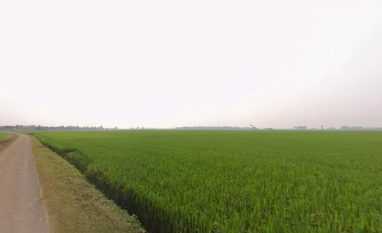 Shikarpur, West Bengal 713422, India