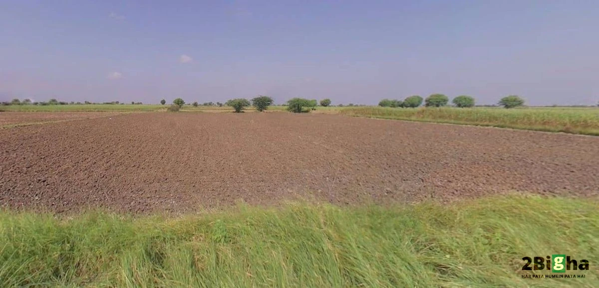 62FW+8JQ, Guda Rd, Jhalamand, Jodhpur, Rajasthan 342005, India