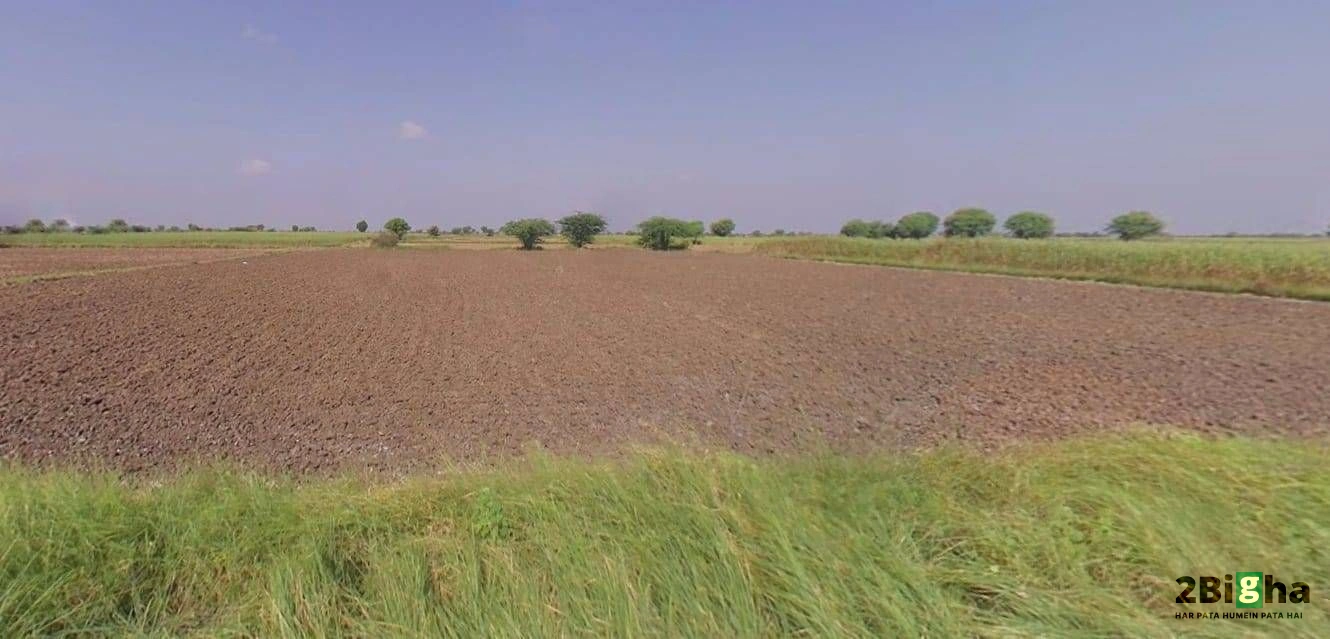 62FW+8JQ, Guda Rd, Jhalamand, Jodhpur, Rajasthan 342005, India