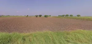 62FW+8JQ, Guda Rd, Jhalamand, Jodhpur, Rajasthan 342005, India preview 3