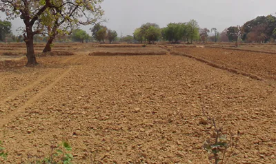 Gota, Chhattisgarh, India preview 2