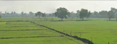 Kothdi Bahlolpur, Uttar Pradesh 247129, India preview 3