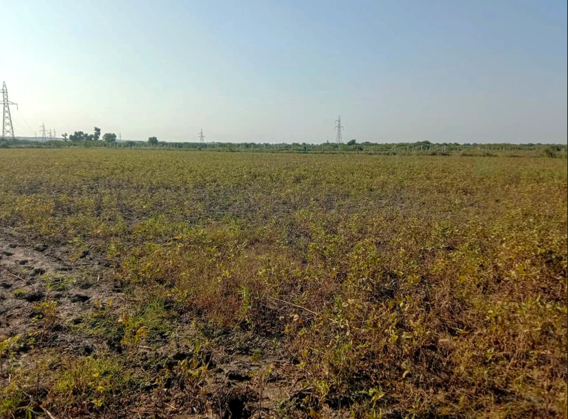 Barnagar, Madhya Pradesh 456771, India
