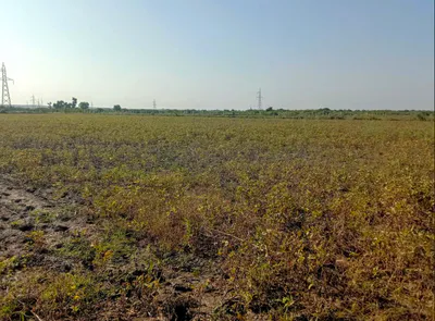 Barnagar, Madhya Pradesh 456771, India preview 3