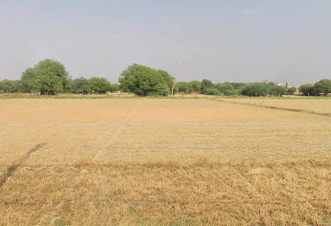 Tajpur Khurd, Delhi, 110071, India