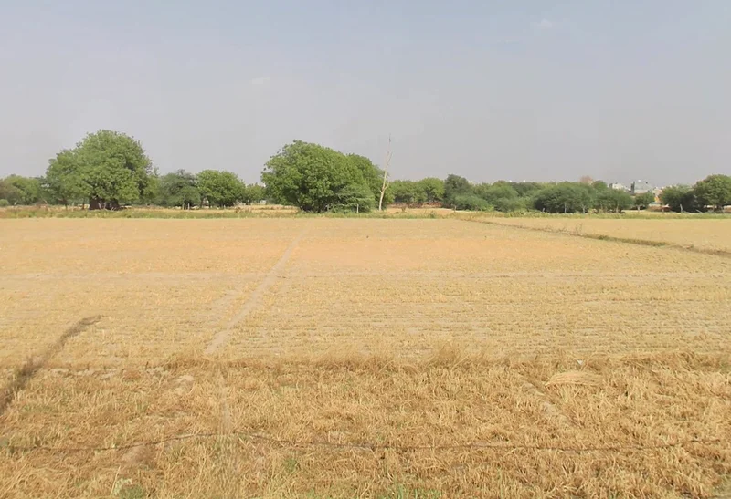 Tajpur Khurd, Delhi, 110071, India preview 2