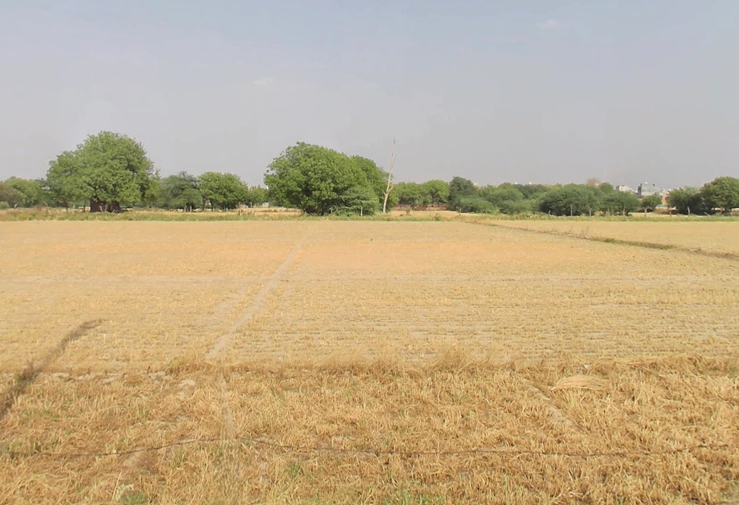 Tajpur Khurd, Delhi, 110071, India