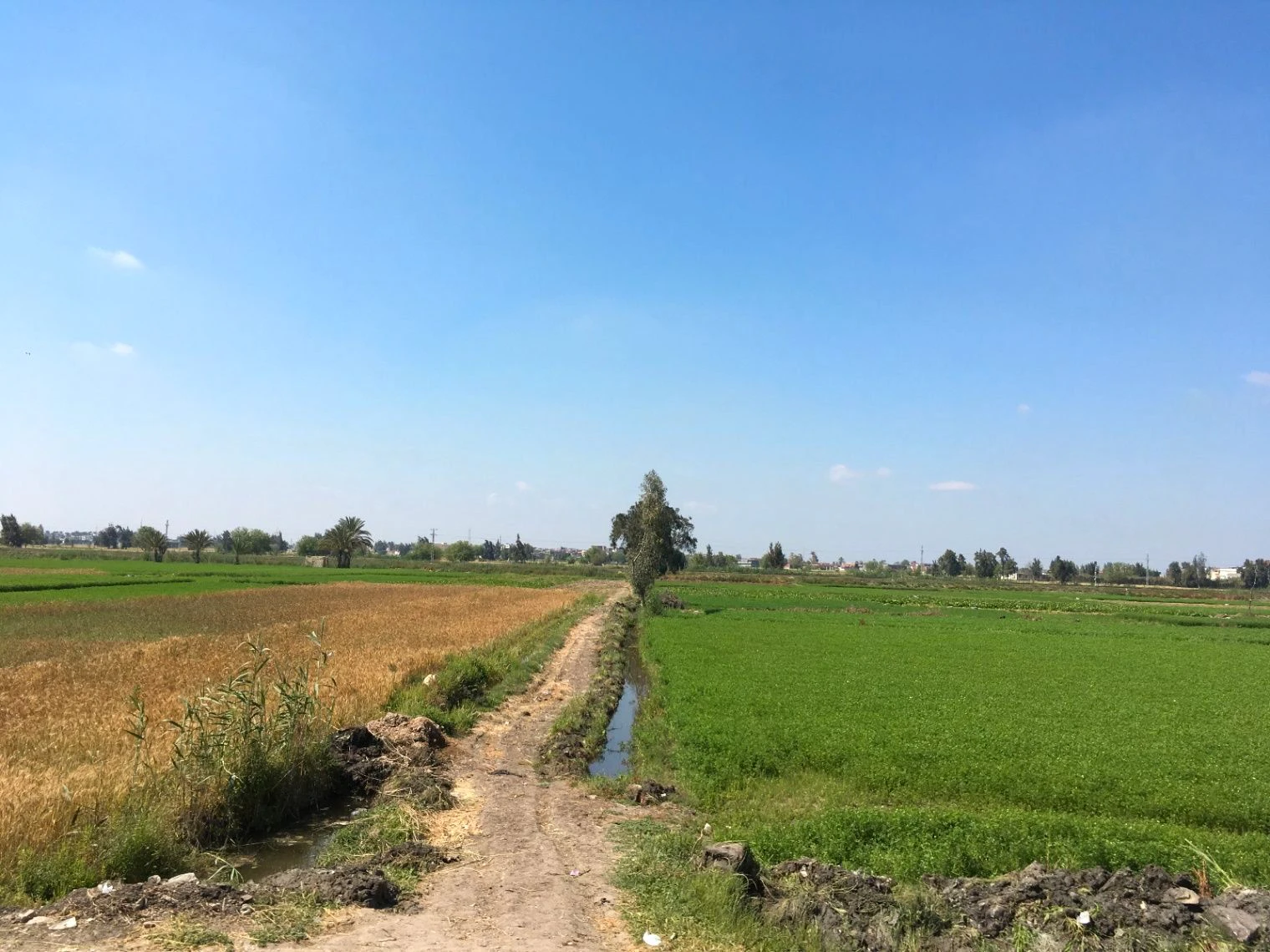 Salkanpur, Madhya Pradesh 466446, India