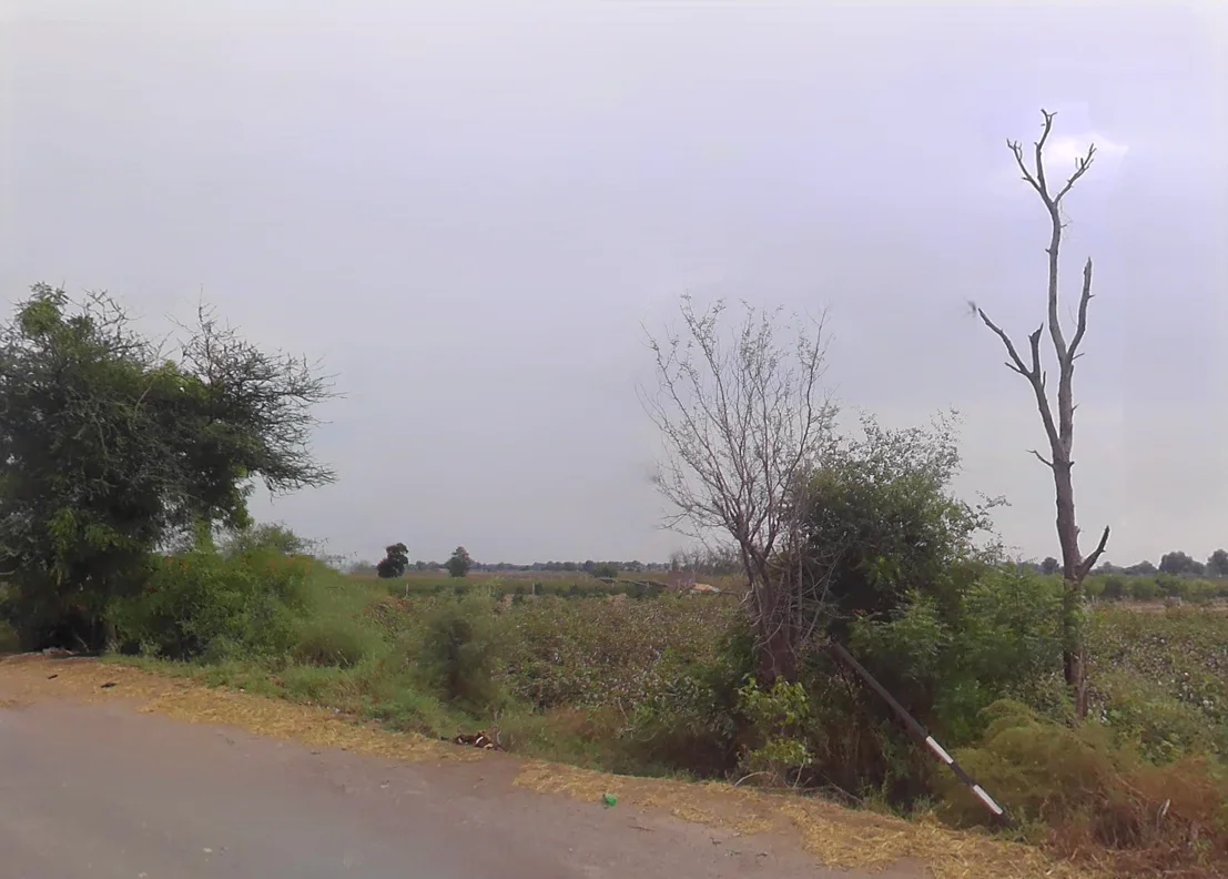 Chautala, Haryana 125101, India preview 3