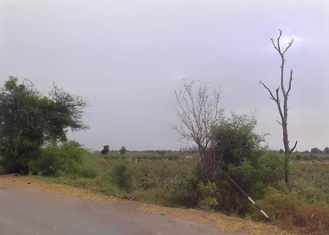 Chautala, Haryana 125101, India