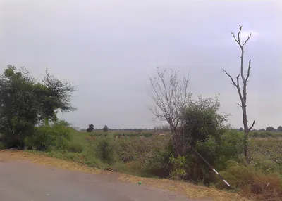 Chautala, Haryana 125101, India preview 3
