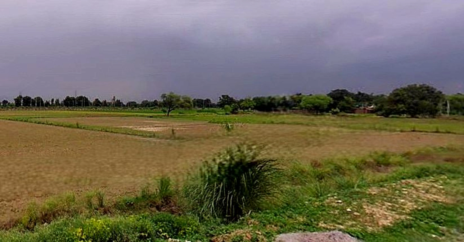 Barsana, Uttar Pradesh 281405, India