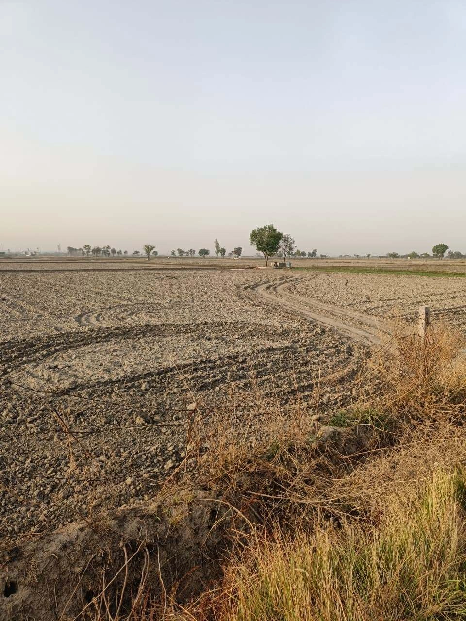 Tentigaon, Uttar Pradesh, India preview 2