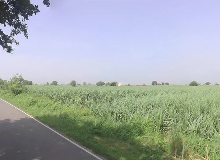 Baraut, Uttar Pradesh 250611, India