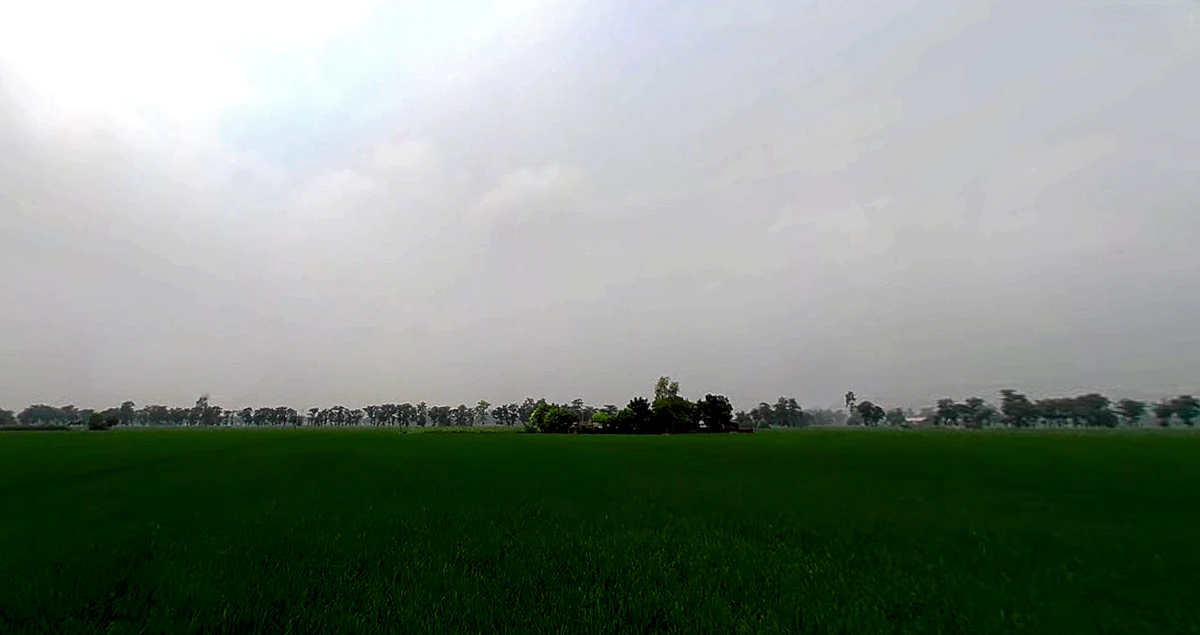 Shankar, Punjab 144042, India