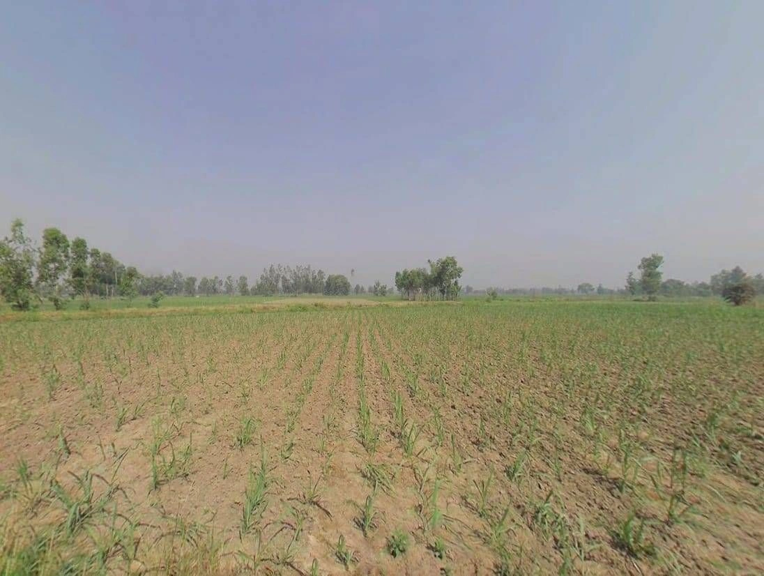 4GJX+22 Mirapur, Uttar Pradesh, India