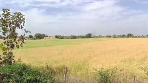 Kanakheda, Madhya Pradesh 458441, India preview 3