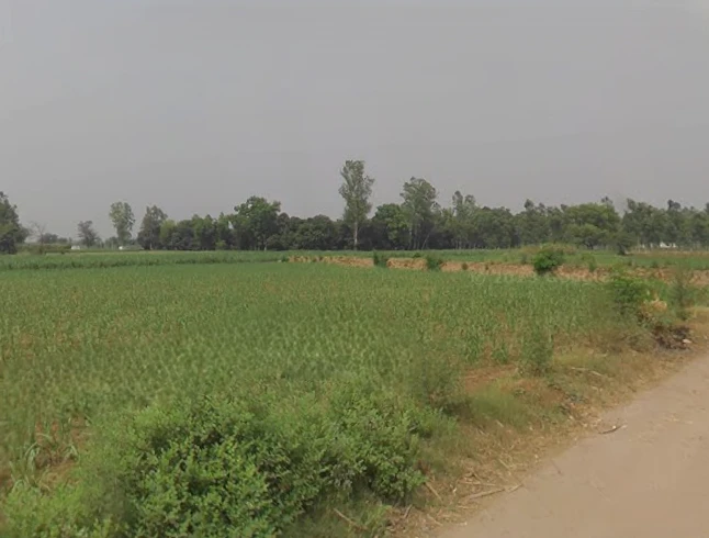 Mawana, Uttar Pradesh, India