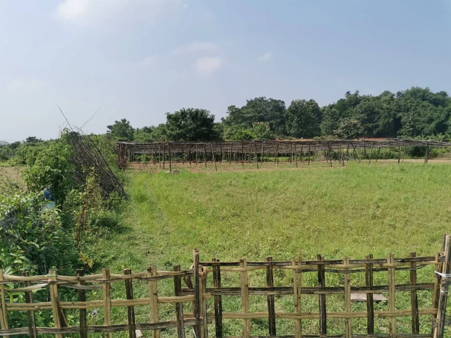 Dharmawala, Herbertpur, Uttarakhand 248142, India