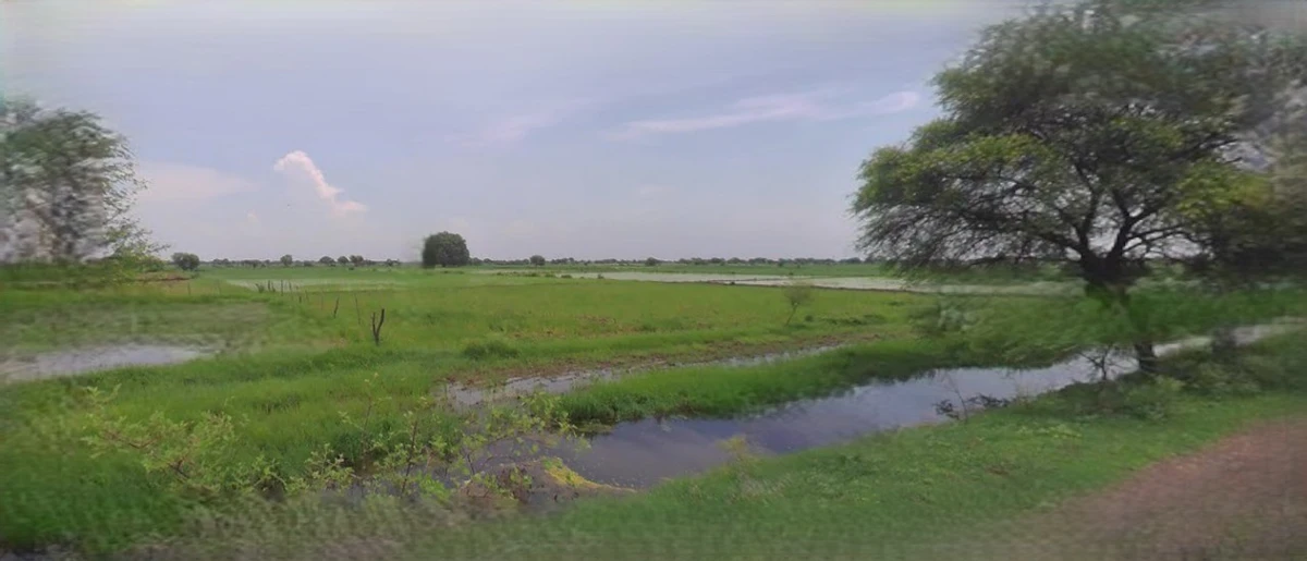 Panipat, Haryana, India