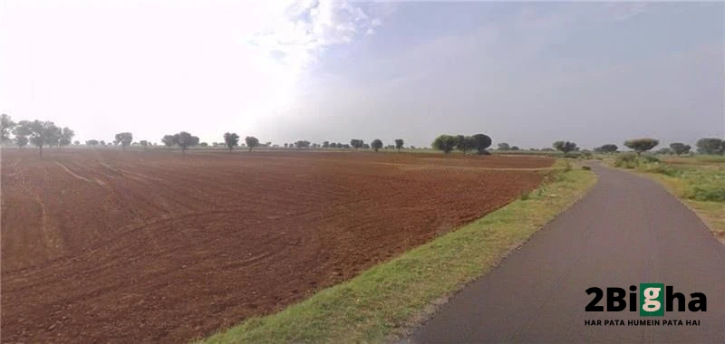 Barodameo, Rajasthan 301021, India