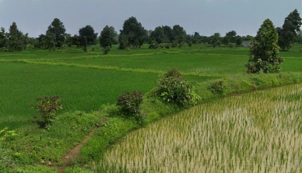 Sendri, Bilaspur, Chhattisgarh, India