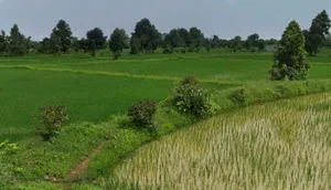 Sendri, Bilaspur, Chhattisgarh, India preview 3