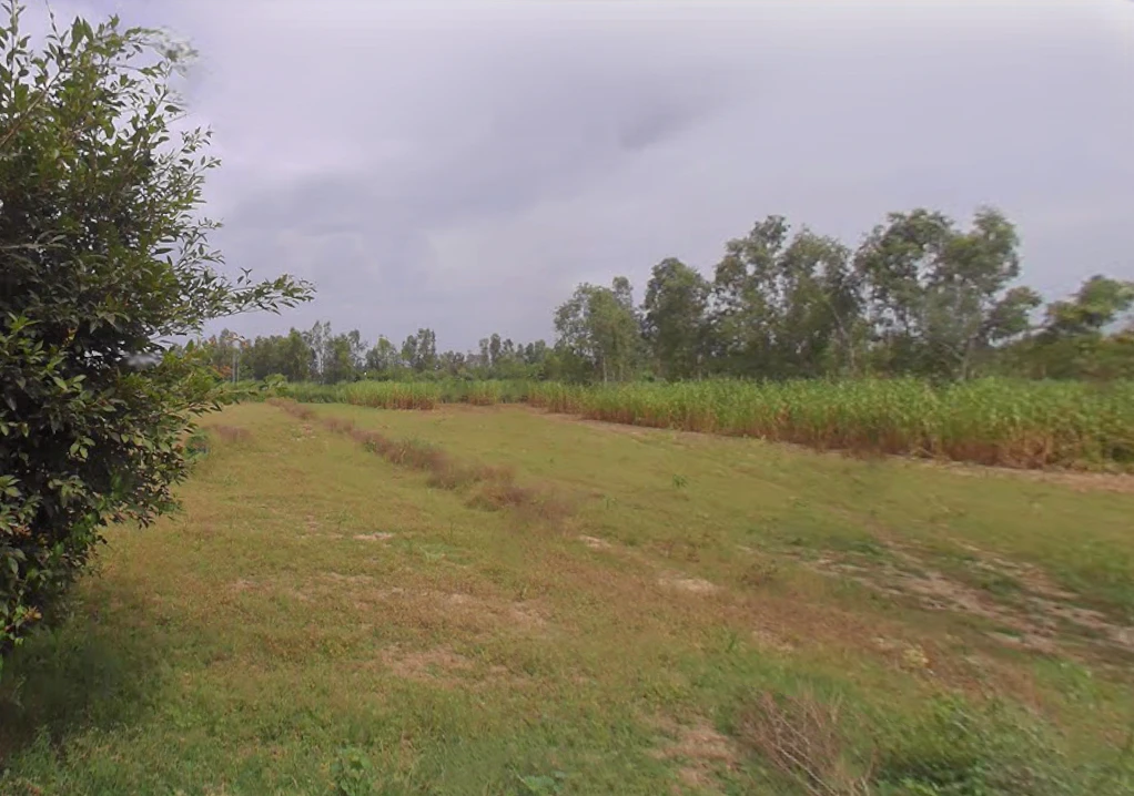 Bijora, Uttar Pradesh, India